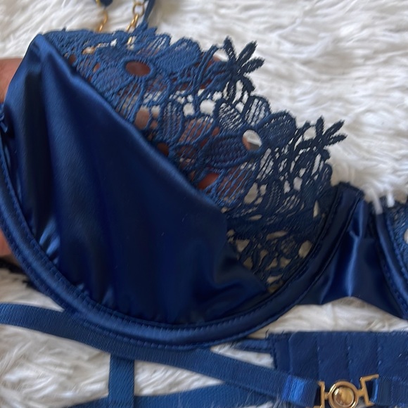 Roma Confidential Embroidered Lace and Satin Bra - Picture 5 of 7